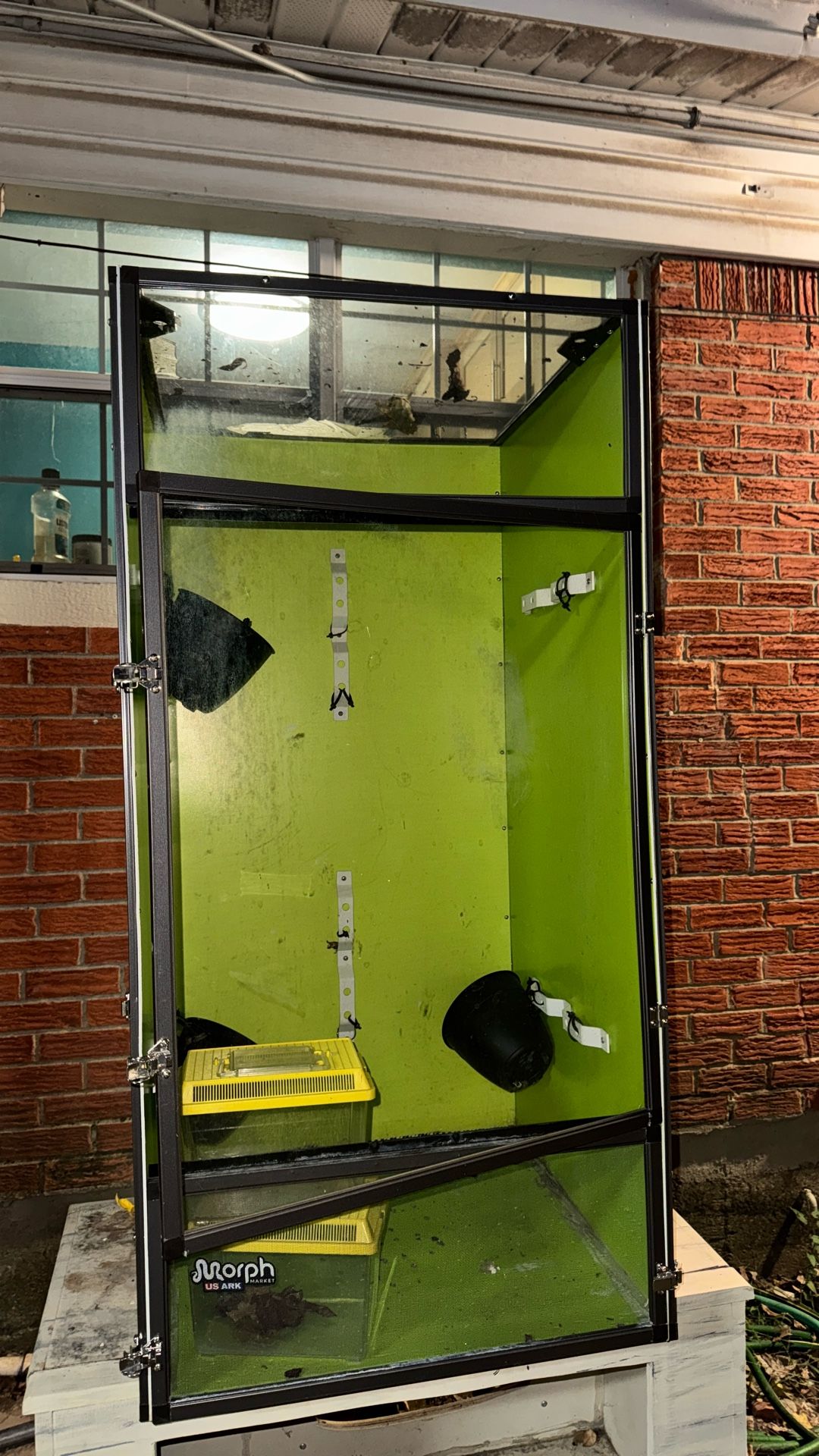 Morph Enclosure For Chameleon