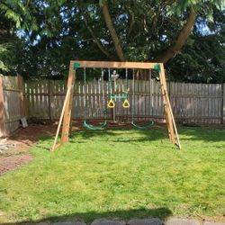 Swing Set With Monkey Bars