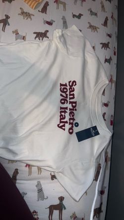 Hollister short sleeve shirt