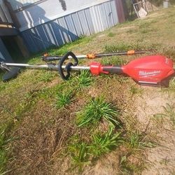 Weedeater Polesaw Combo