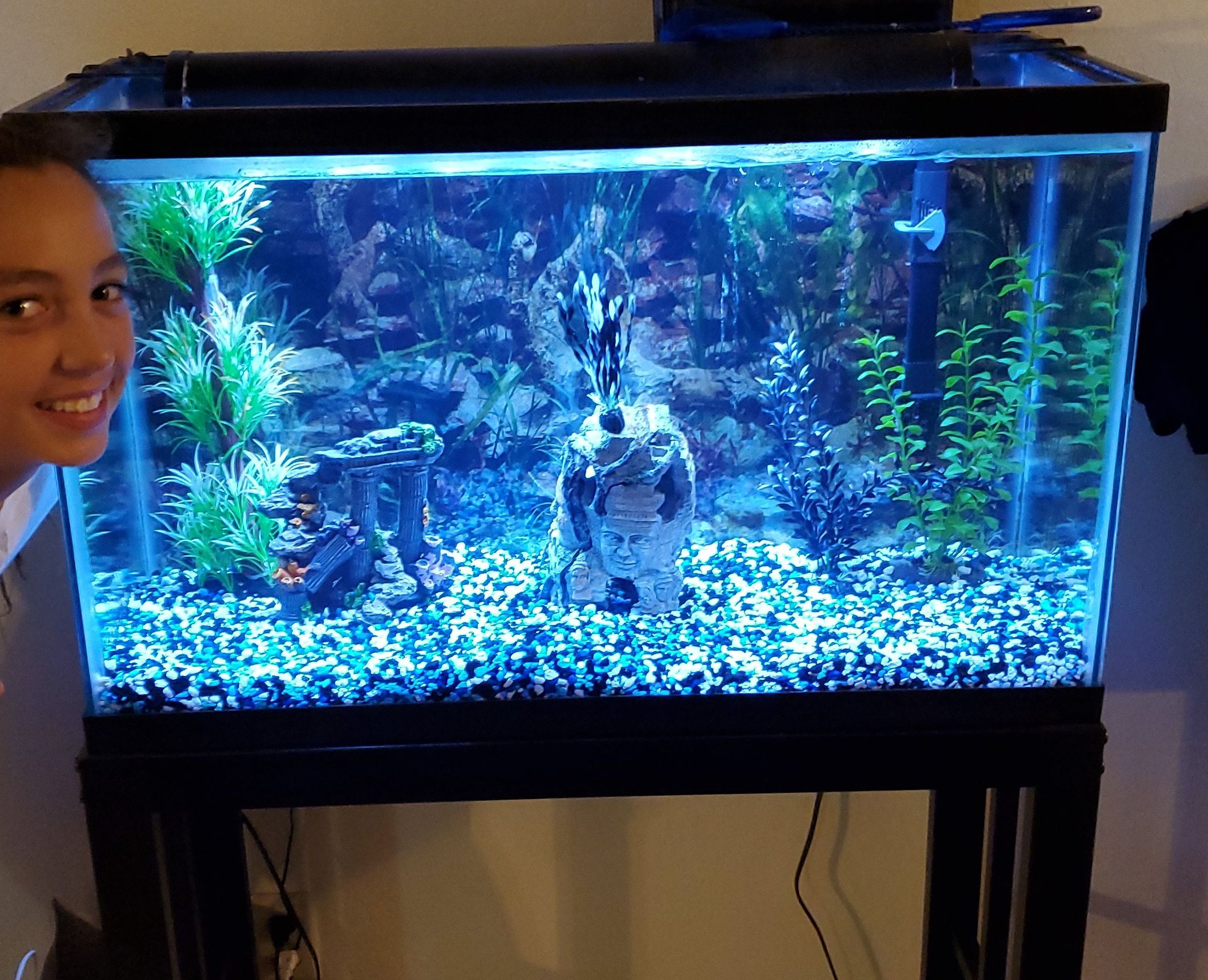 30 gallon fish ta k with all accessories. Led light. Cleaning tools. Pickup only