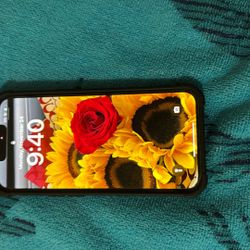 iPhone 13 Brand New Conditions 