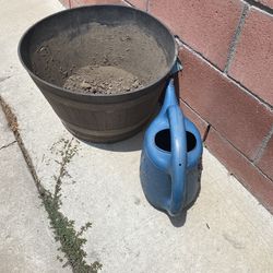 Plant  Pot