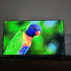 42 INCH LG C2 OLED
