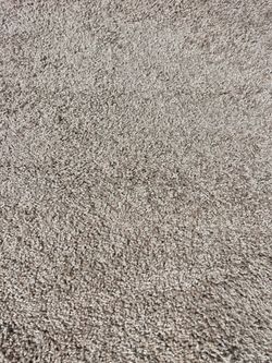 Cream Beige Carpet Remnant