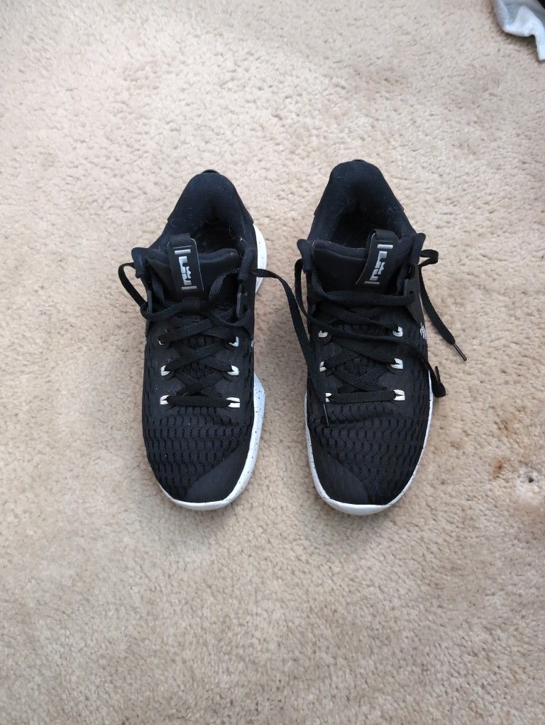 Nike LeBron James Shoes