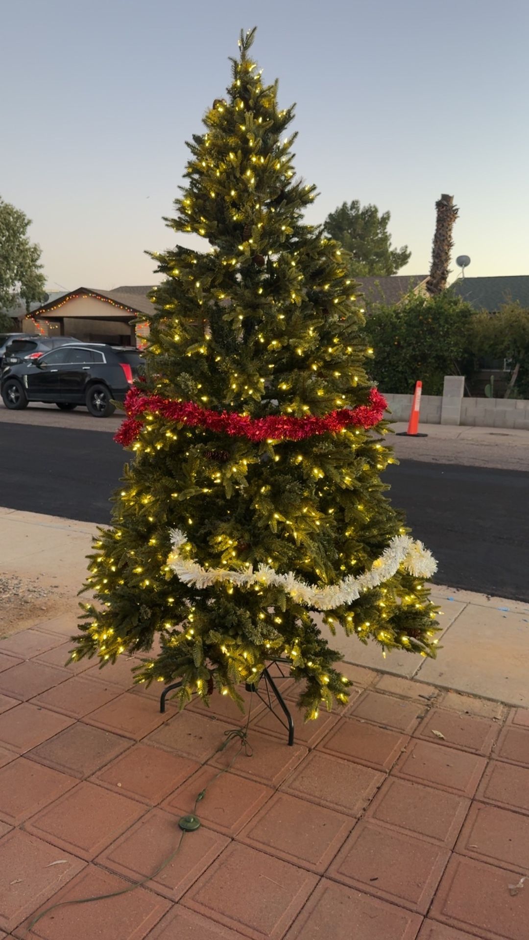 Pino Grande De 9 Pies