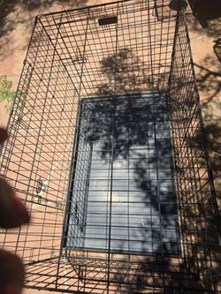 Extra large dog crate/kennel