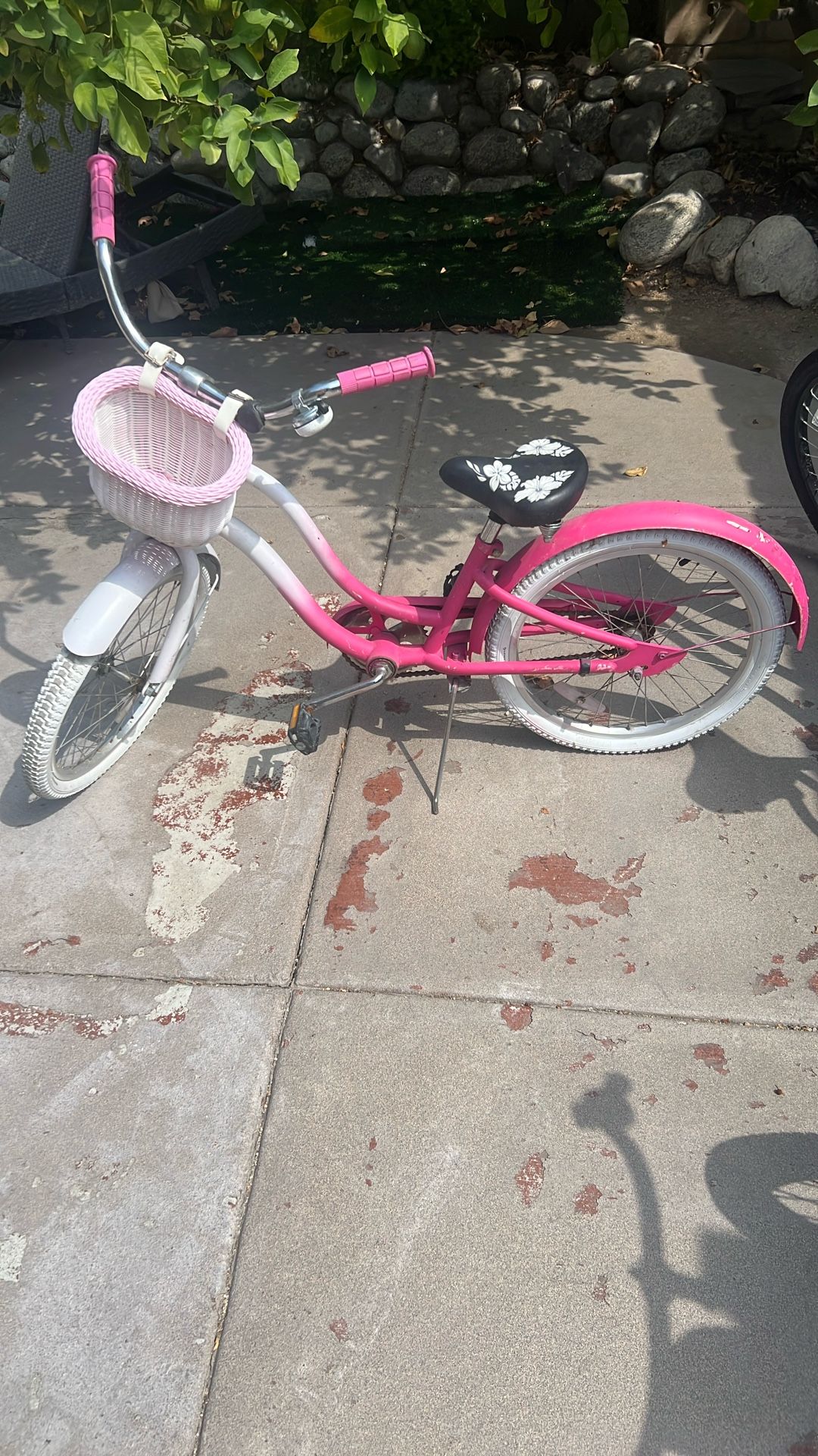 Beach Cruiser