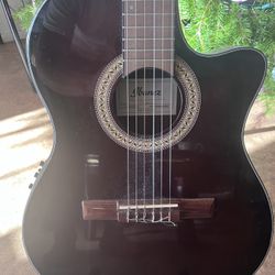 Ibanez Nylon Guitar Acoustic 