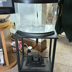 Aquarium Bow Tank W/ Stand