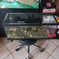 Tank 