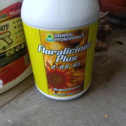 1 Gal Floralicous Plus 65$