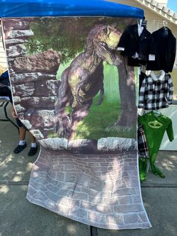 Dinosaur back drop