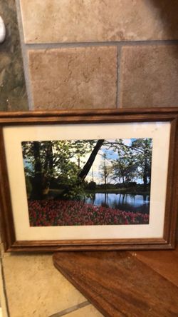 Framed Nature Photo with Wood Frame