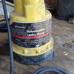 Submersible Utility Pump
