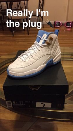 Air Jordan 12s