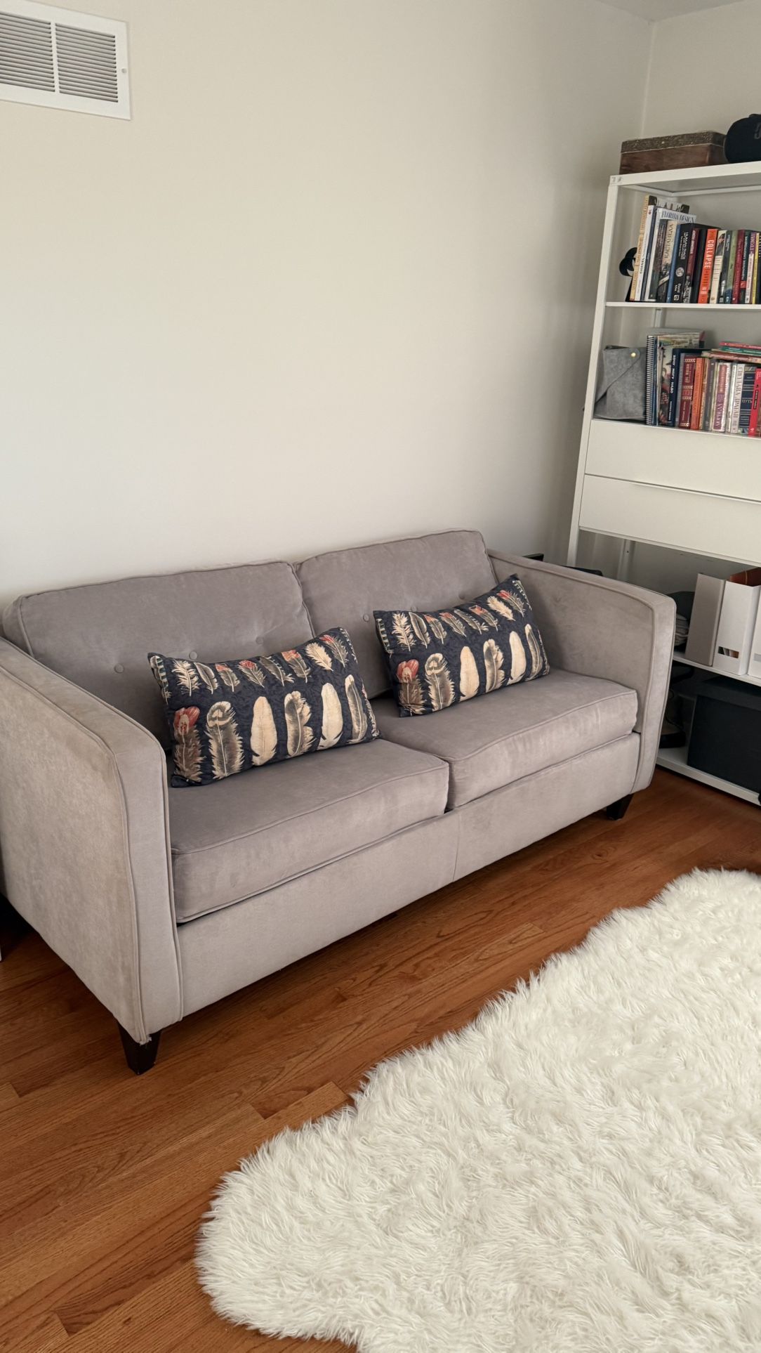 Sleeper Sofa