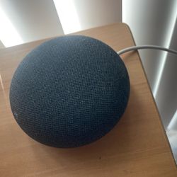 Google nest mini Gen 1
