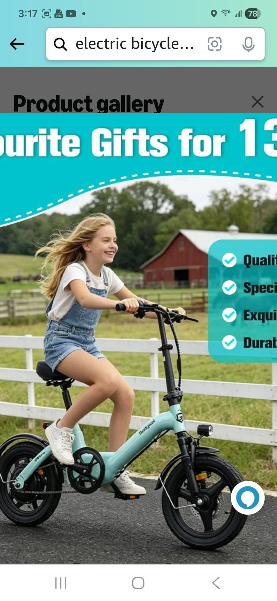 Electric Bicycle