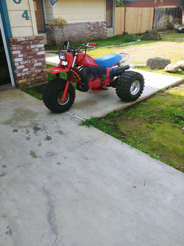 1981 atc 250r 1981 atc 250r