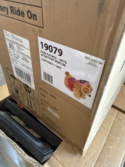 Skye Paw Patrol Ride In On