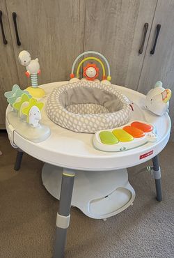 Skip Hop Activity Center