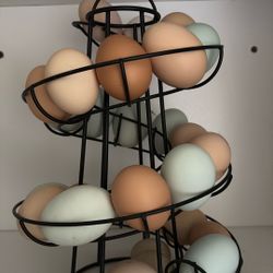 Fresh Eggs 