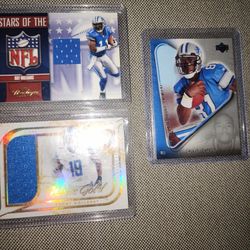 Detroit Lion Card Lot