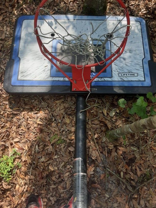 Basketball Hoop