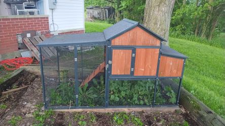 Chicken Coop