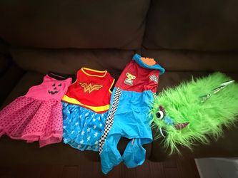 Large dog costumes