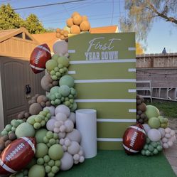 Balloon Garland , Backdrop, Party Decorations 