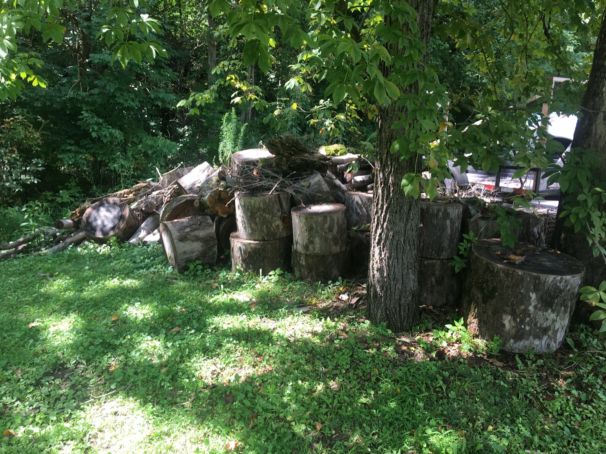 Firewood Free