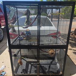 Cage