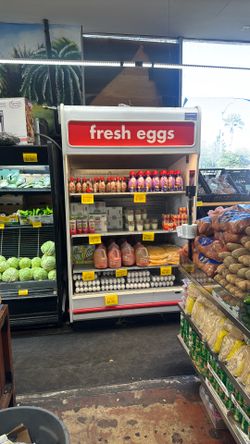 EGG Fridge