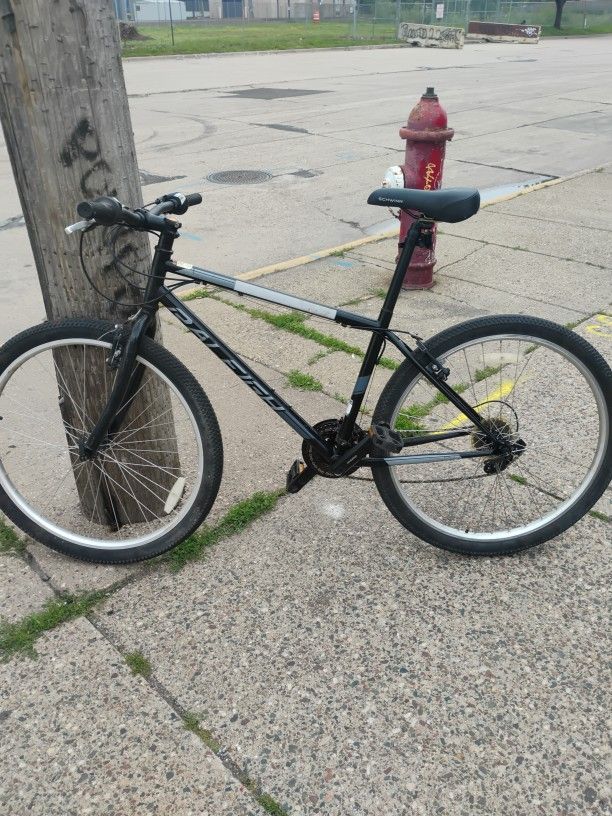 Raleigh Adult Bike