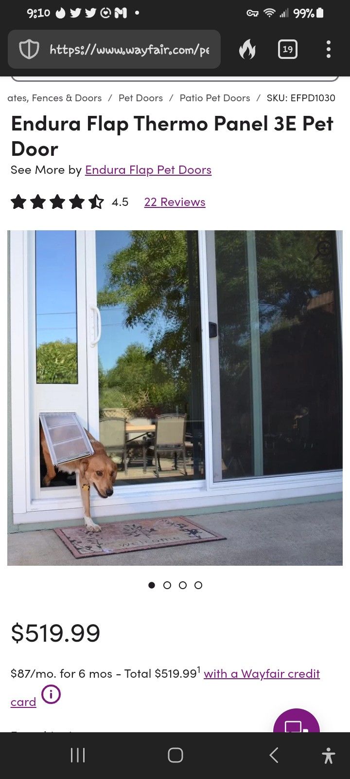 Doggie Door