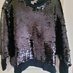 New Joie Sequin Top