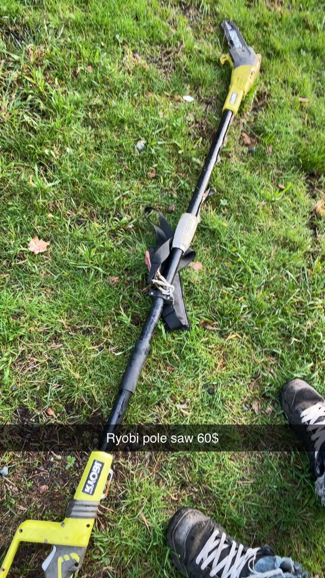 Ryobi Pole Saw