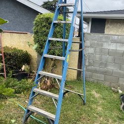 8 Foot Ladder (blue)