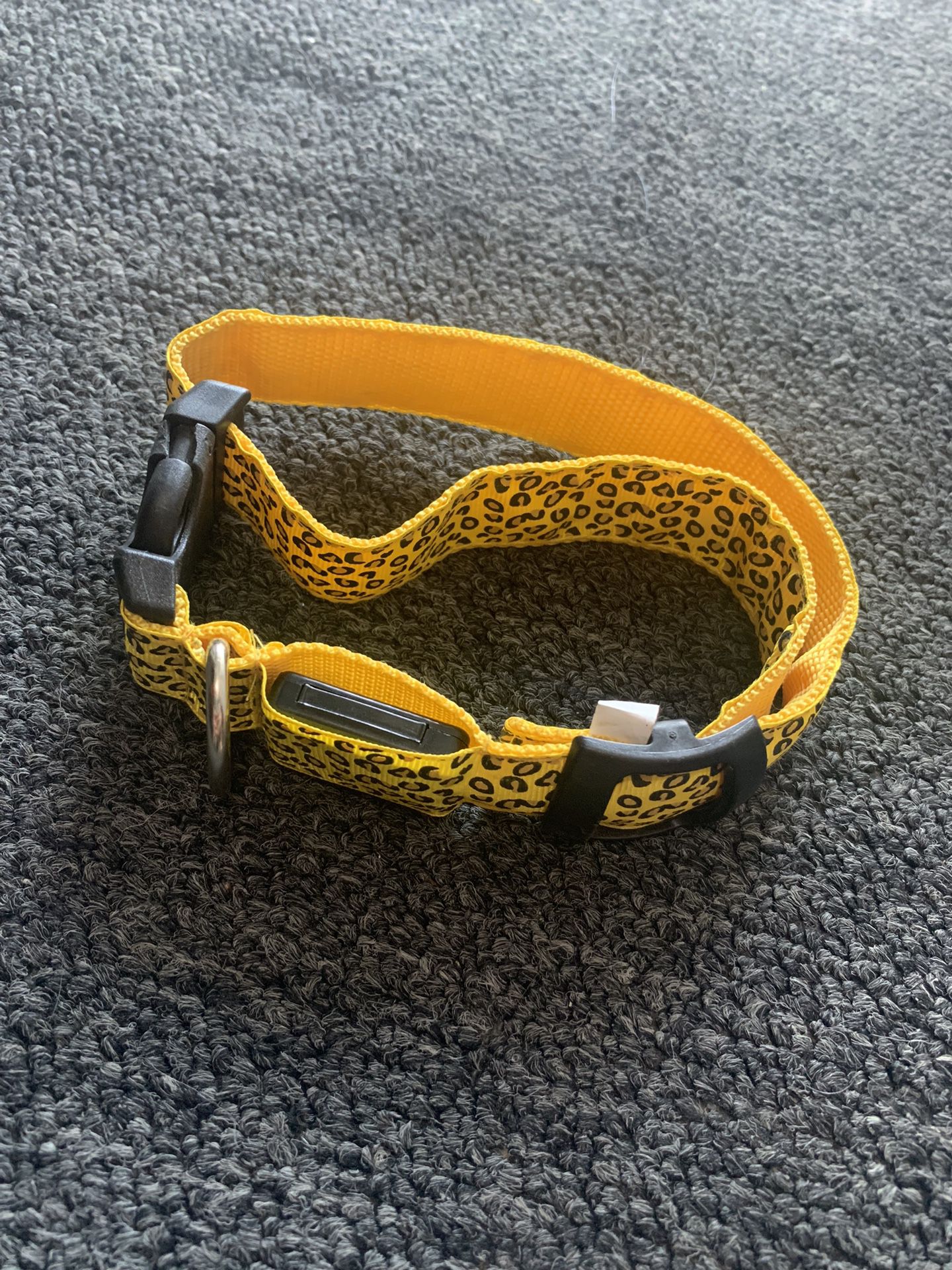 (Free) Light Up Dog Collar - Cheetah Print