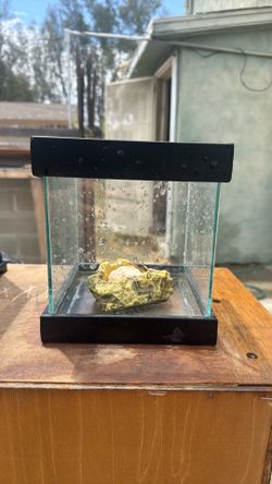 2 gallon tank