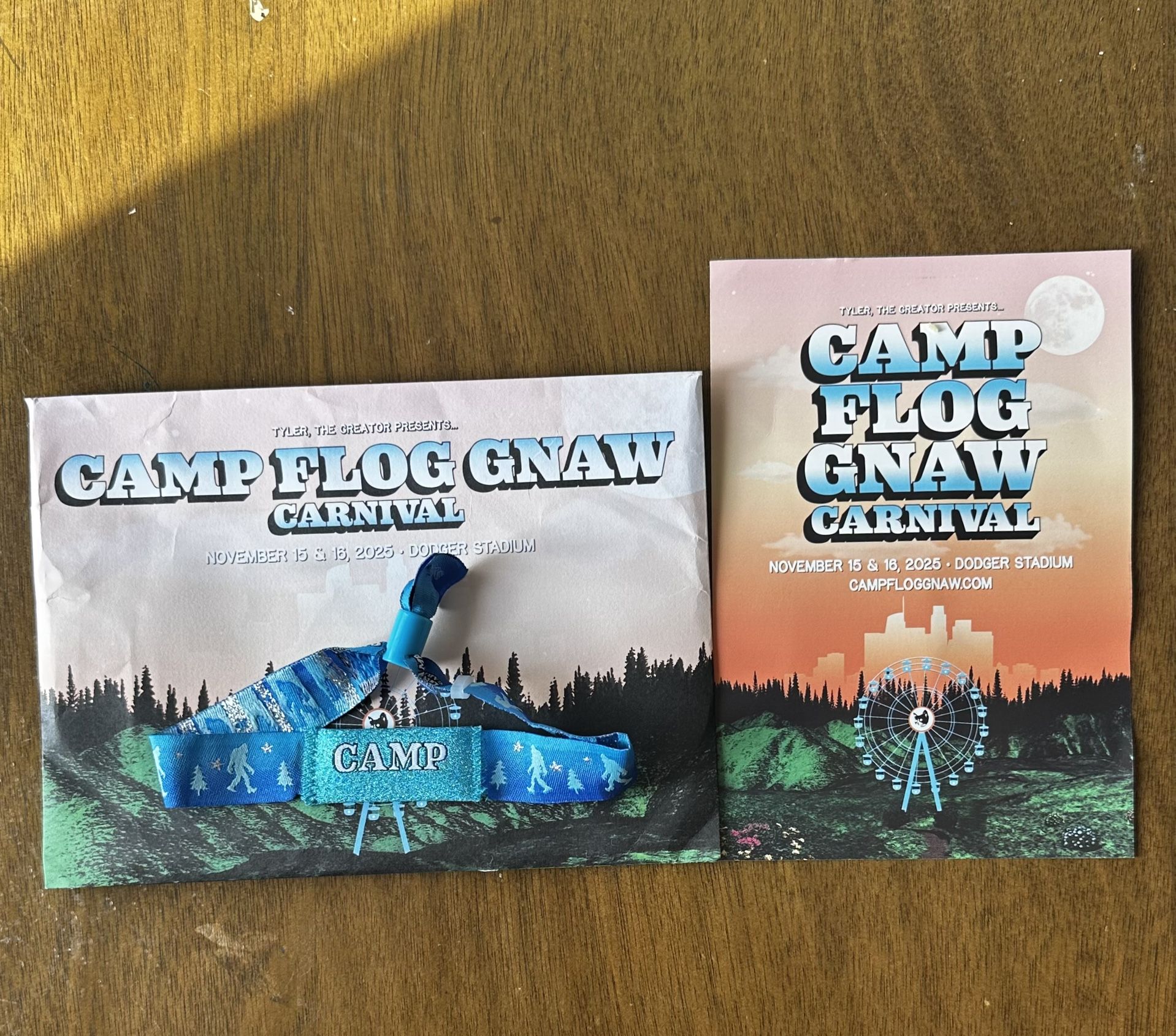 1 Camp FlogGnaw Festival Wristband