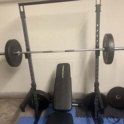 Workout Bench
