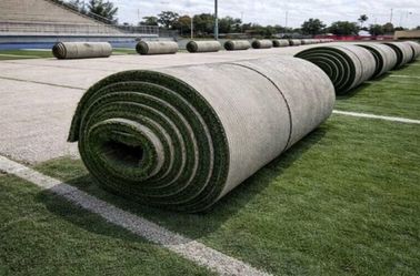 HIGH Quality Turf Rolls!! (Godfrey, IL)
