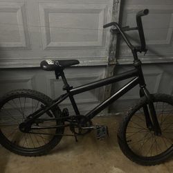 20” Bmx Bike 