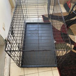 Dog / Pet Crate