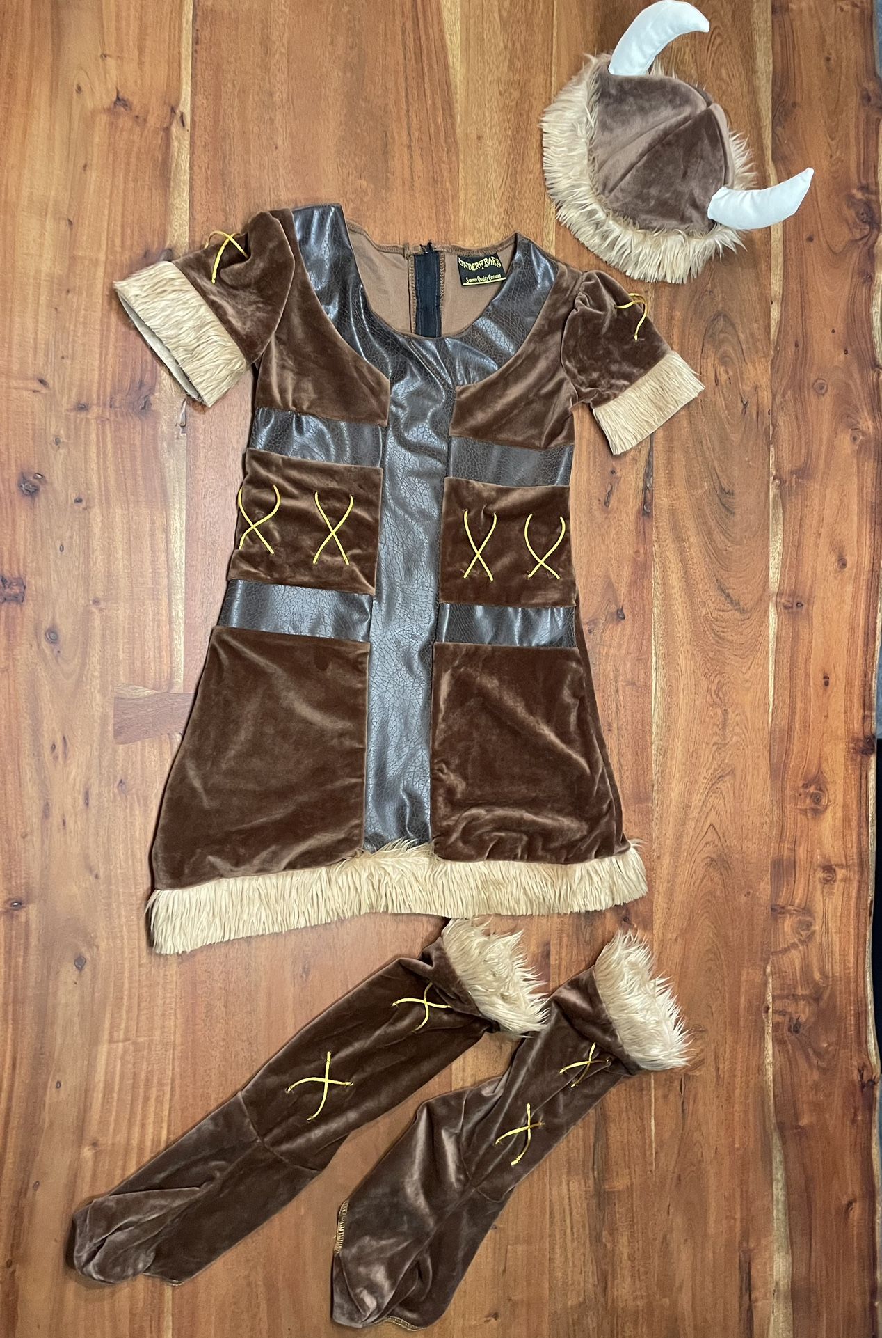 Halloween Costume, How To Train Your Dragon