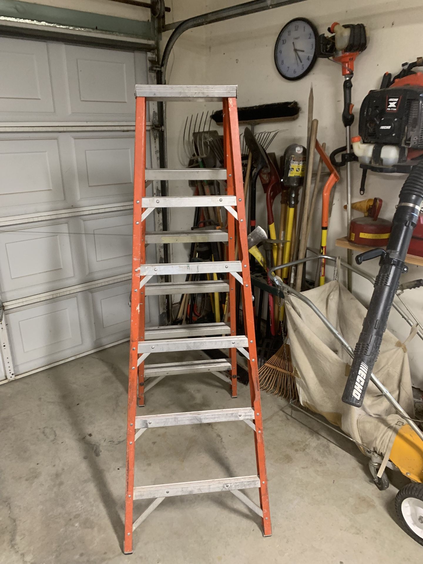 Werner 6ft Ladder